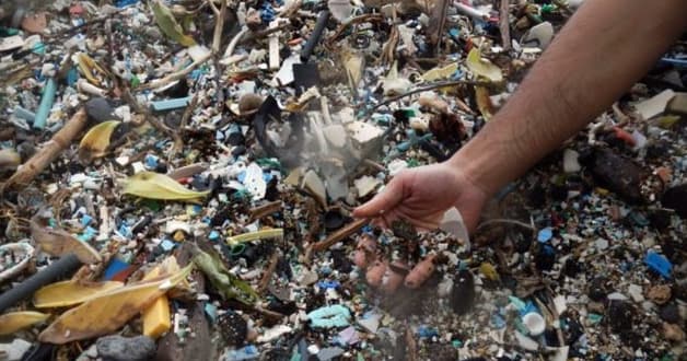 Banner image for advert: Smetiště